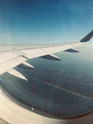 Beauty Between Air and Land…