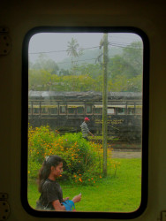 The Frame