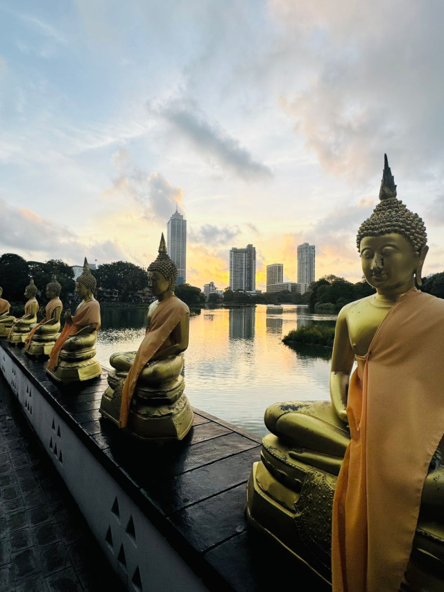 Silent Guardians of the City
