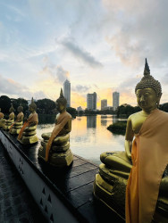 Silent Guardians of the City