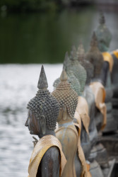 Buddha Statues