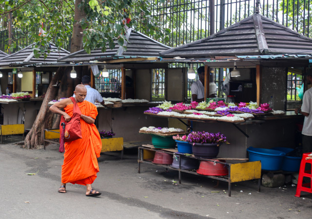 Alms and Lotuses