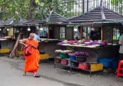 Alms and Lotuses