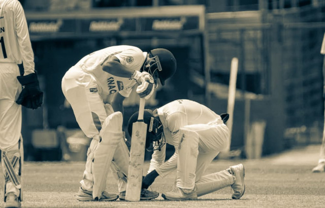 Cricket