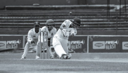 Cricket Batting