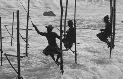 Style of Fishing