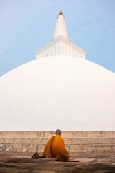 Devotion