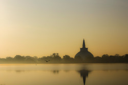 Stillness