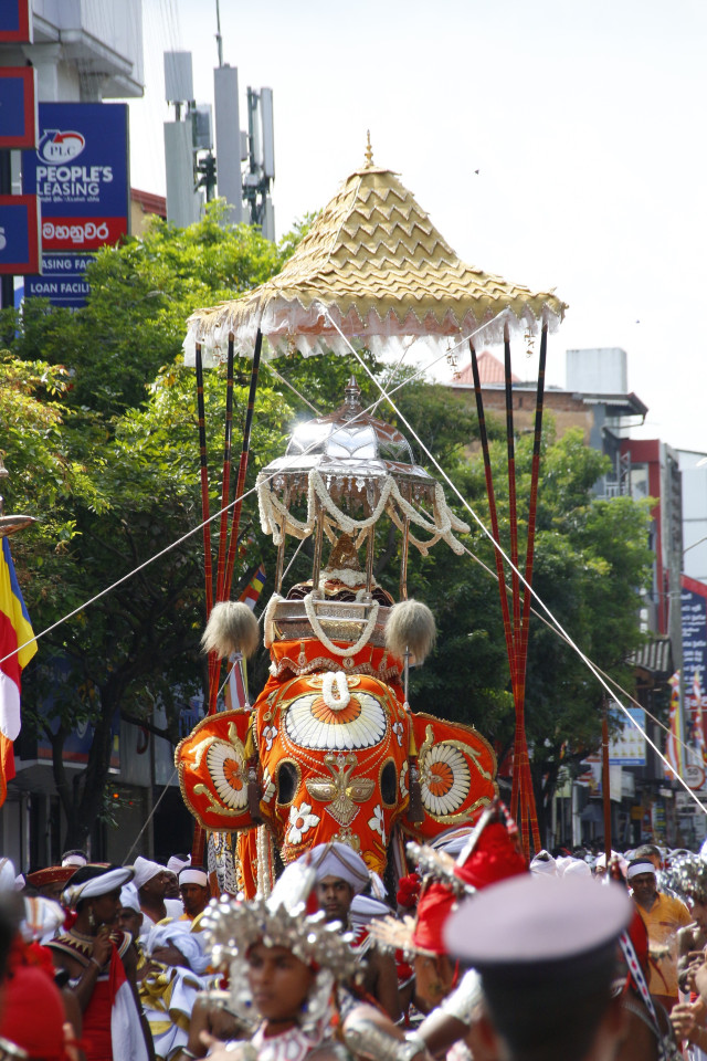 Guardian Of Tradition