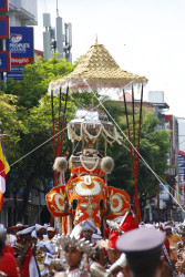 Guardian Of Tradition