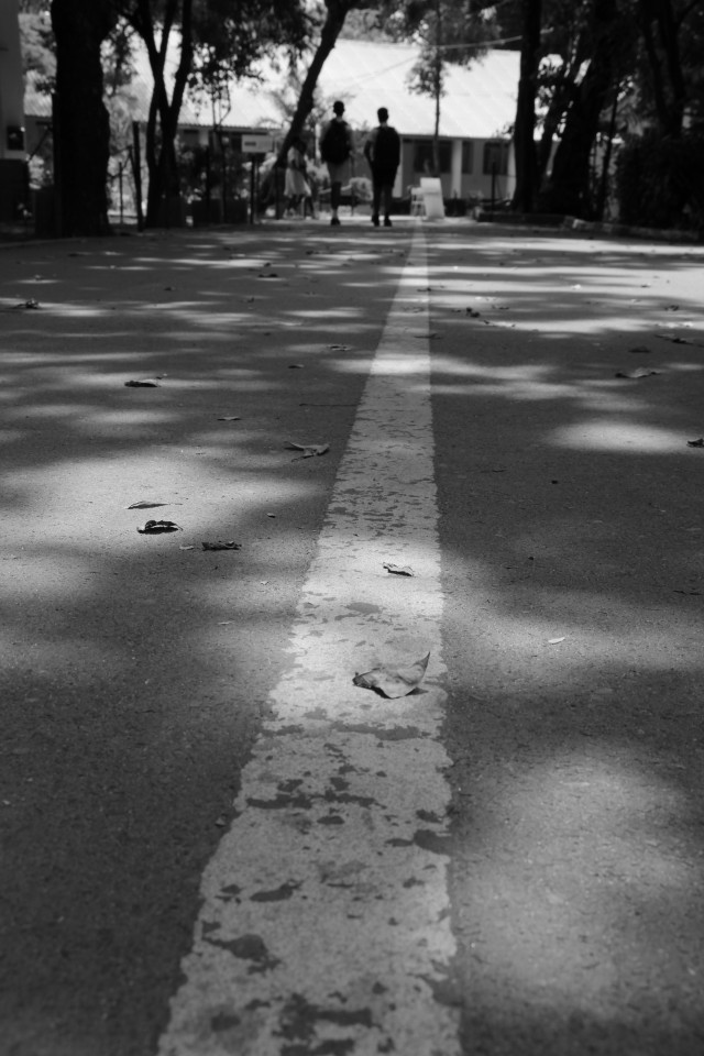 The Gray Between