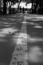 The Gray Between