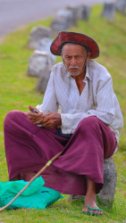 Resting by the Roadside