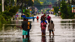 Rising Above the Floodwaters
