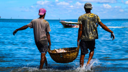 Fishermen's Haul