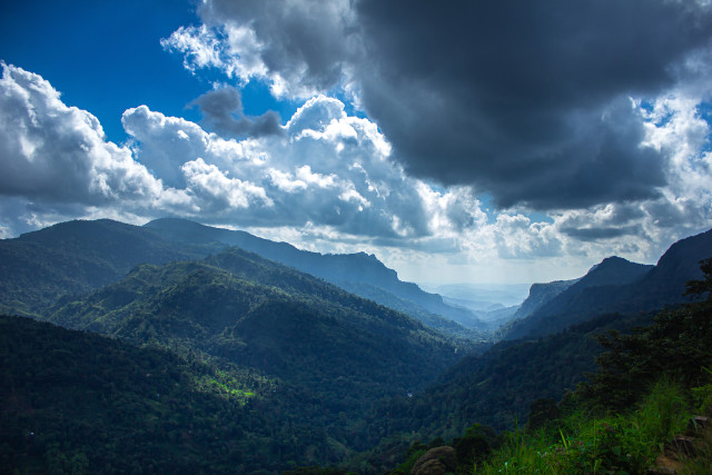Beauty of Greens and Blues