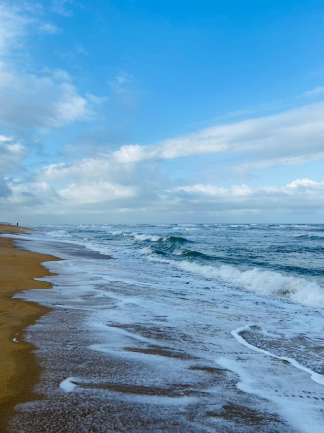 Whispers of Waves
