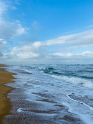 Whispers of Waves