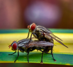 Hidden love of Nature