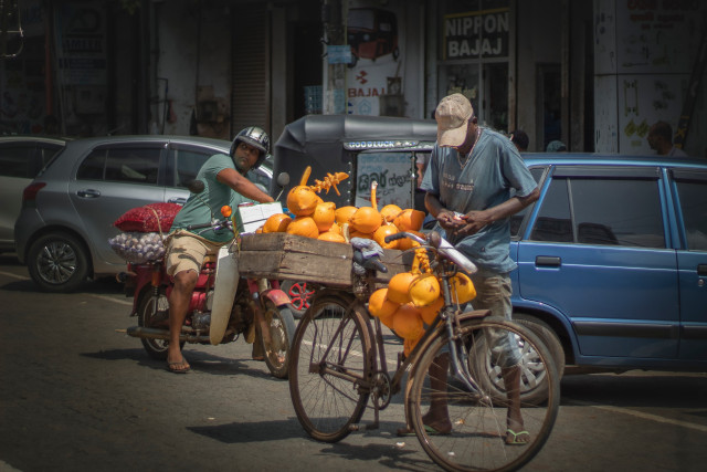 Two wheels, survival