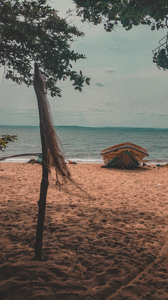 Waves Will Call Again