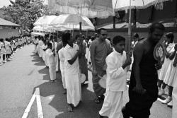 සඟරුවන පෙරහැරින්