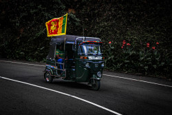Independence