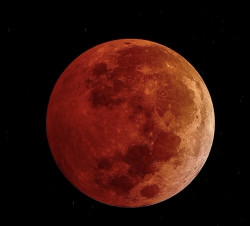 Blood Moon