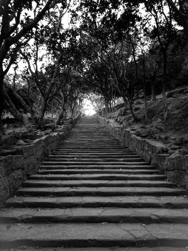 M Shashikani Piyasiri 01 Step to Heaven