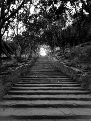 M Shashikani Piyasiri 01 Step to Heaven