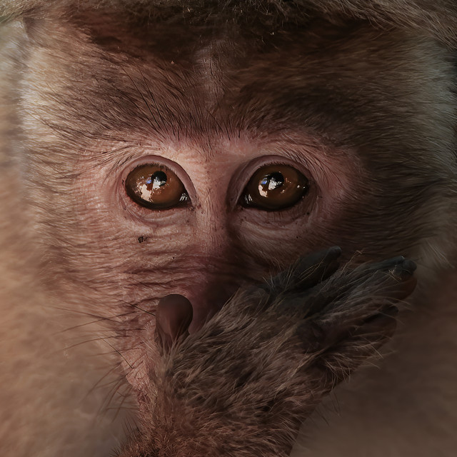 Eyes Never Lie