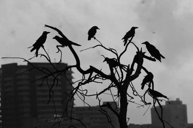 The Watchers