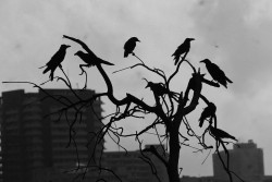 The Watchers