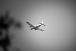 Aviation in Motion