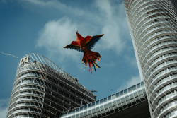 Near the Sky
