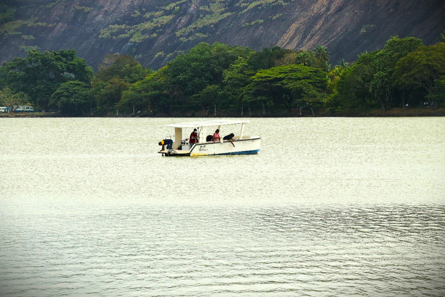 මිනිසුන් තම තමන්ගේ වැඩවල යේදීම