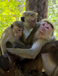 A family moment