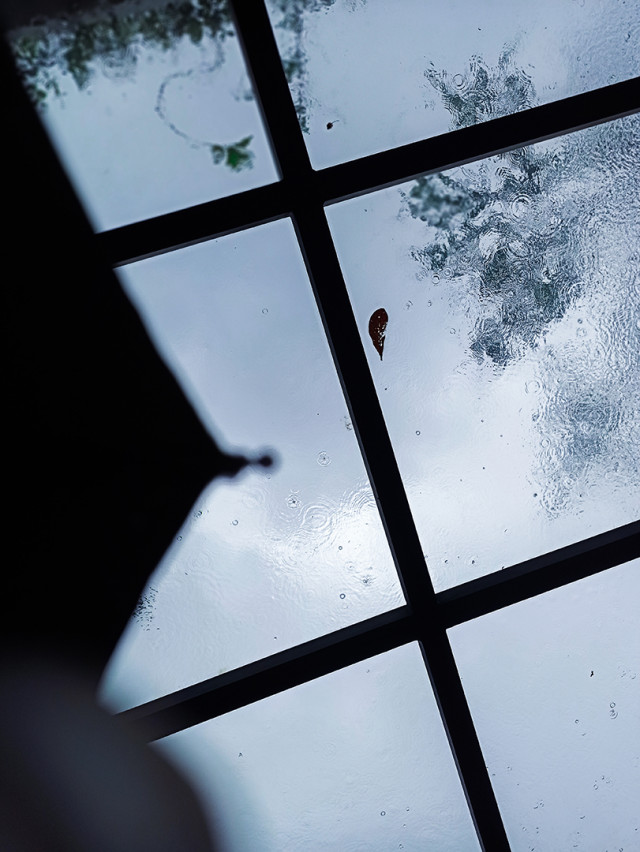 The roof