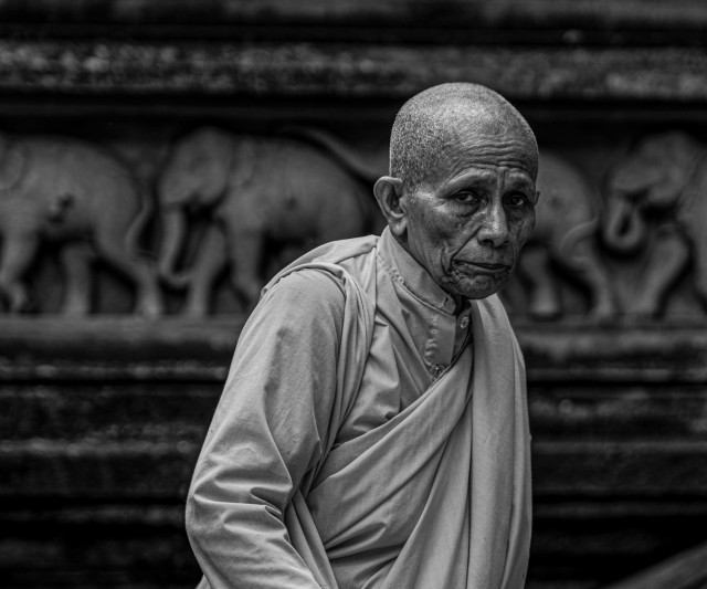 Faces of Tranquility