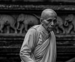 Faces of Tranquility