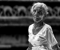 Eyes of Devotion