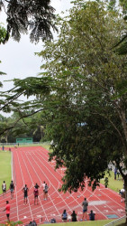 At the Starting Line