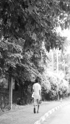 Journey in Silence