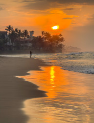 Paradise