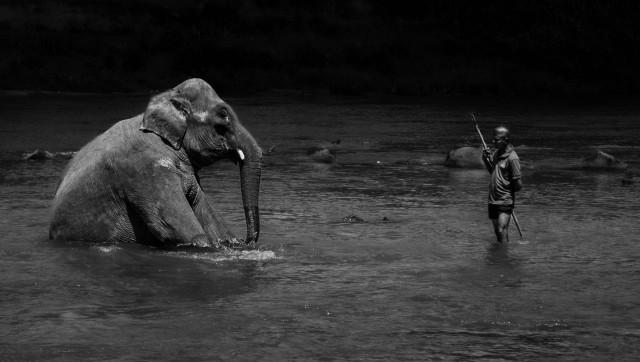 Giant And The Keeper