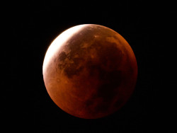 Blood Moon