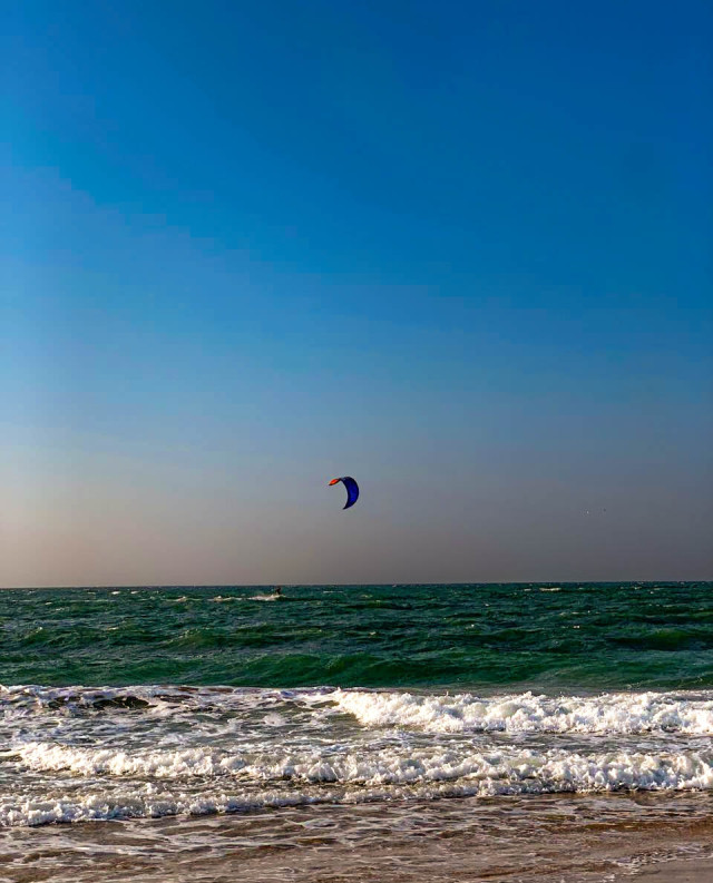 Freedom in the Wind