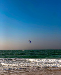 Freedom in the Wind