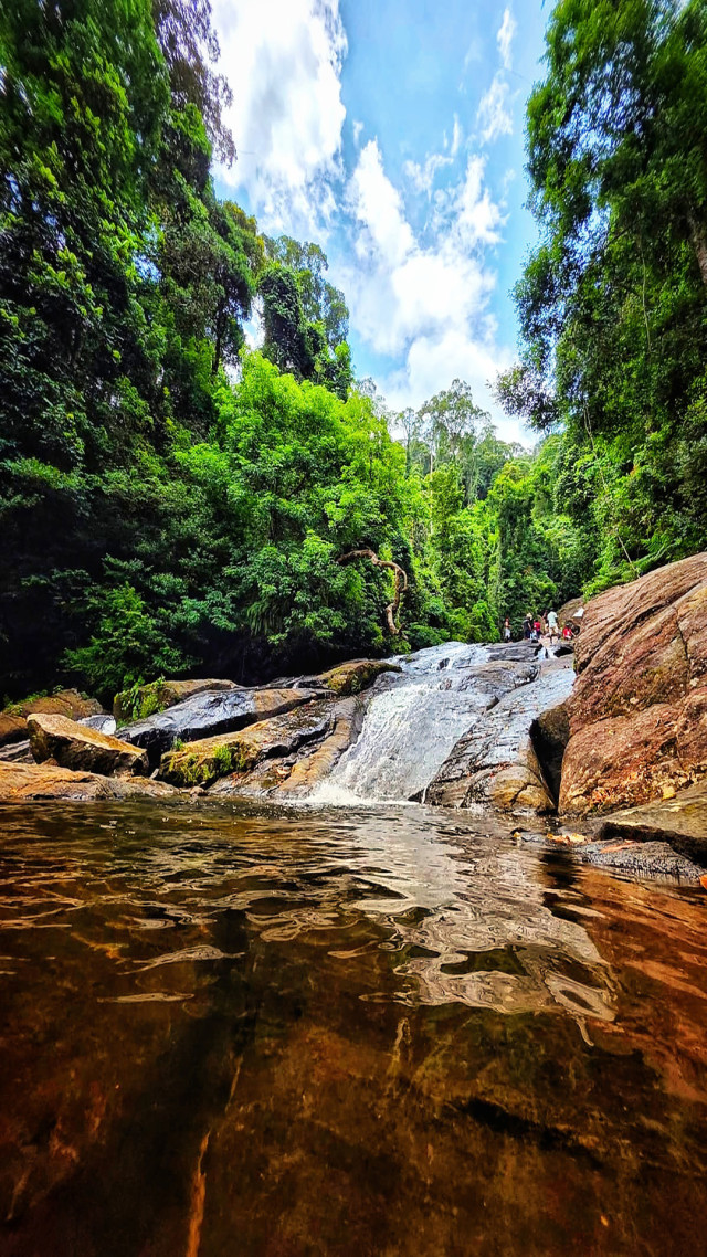 River in the jungle