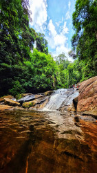 River in the jungle